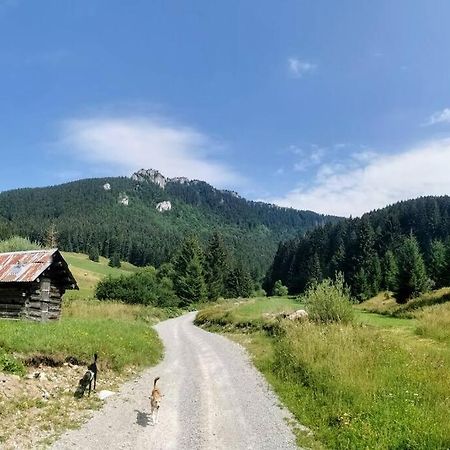 Villa Drevenica Harmony Ruzomberok Esterno foto