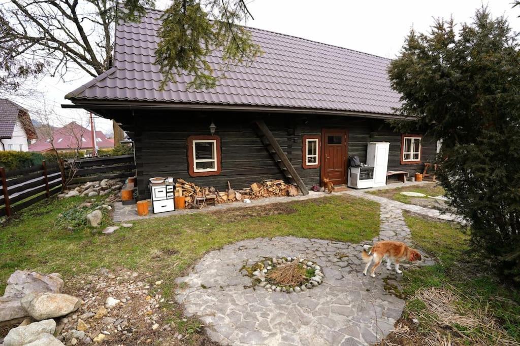 Villa Drevenica Harmony Ruzomberok Esterno foto